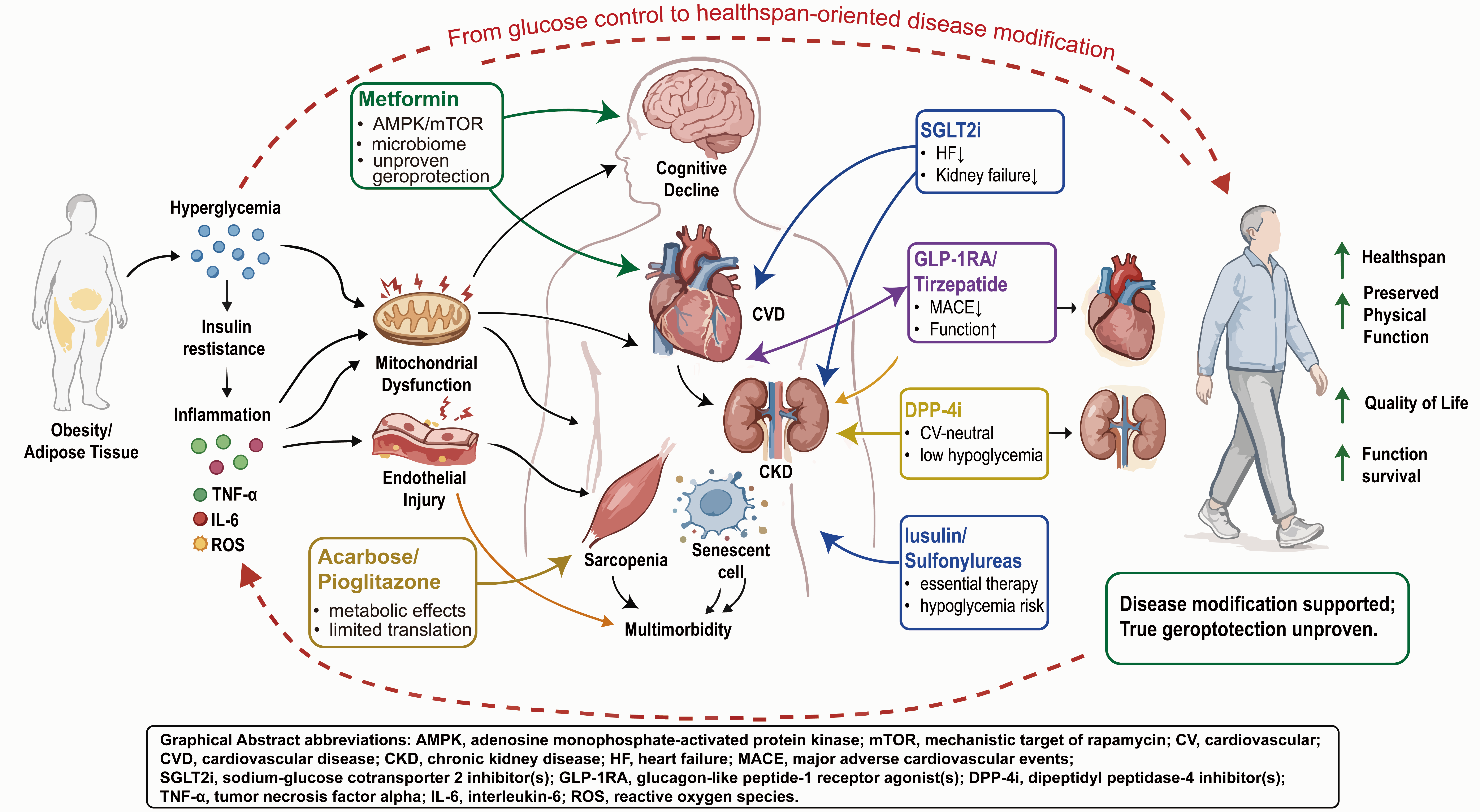 Graphical Abstract