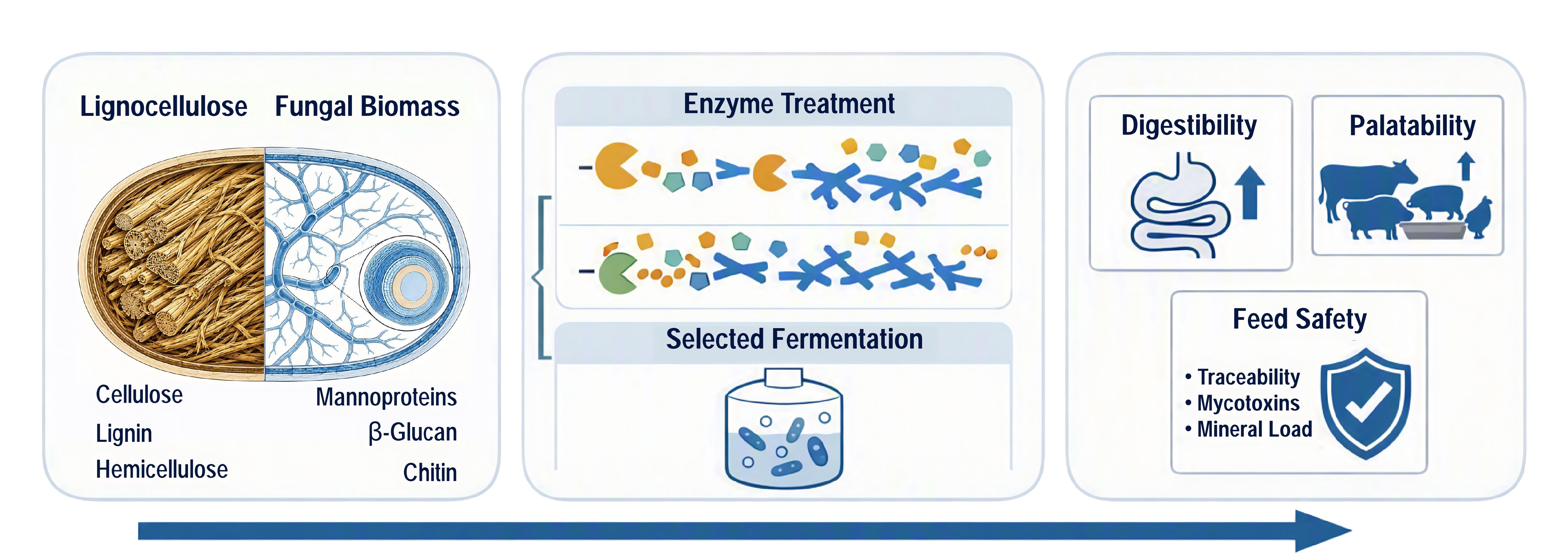 Graphical Abstract