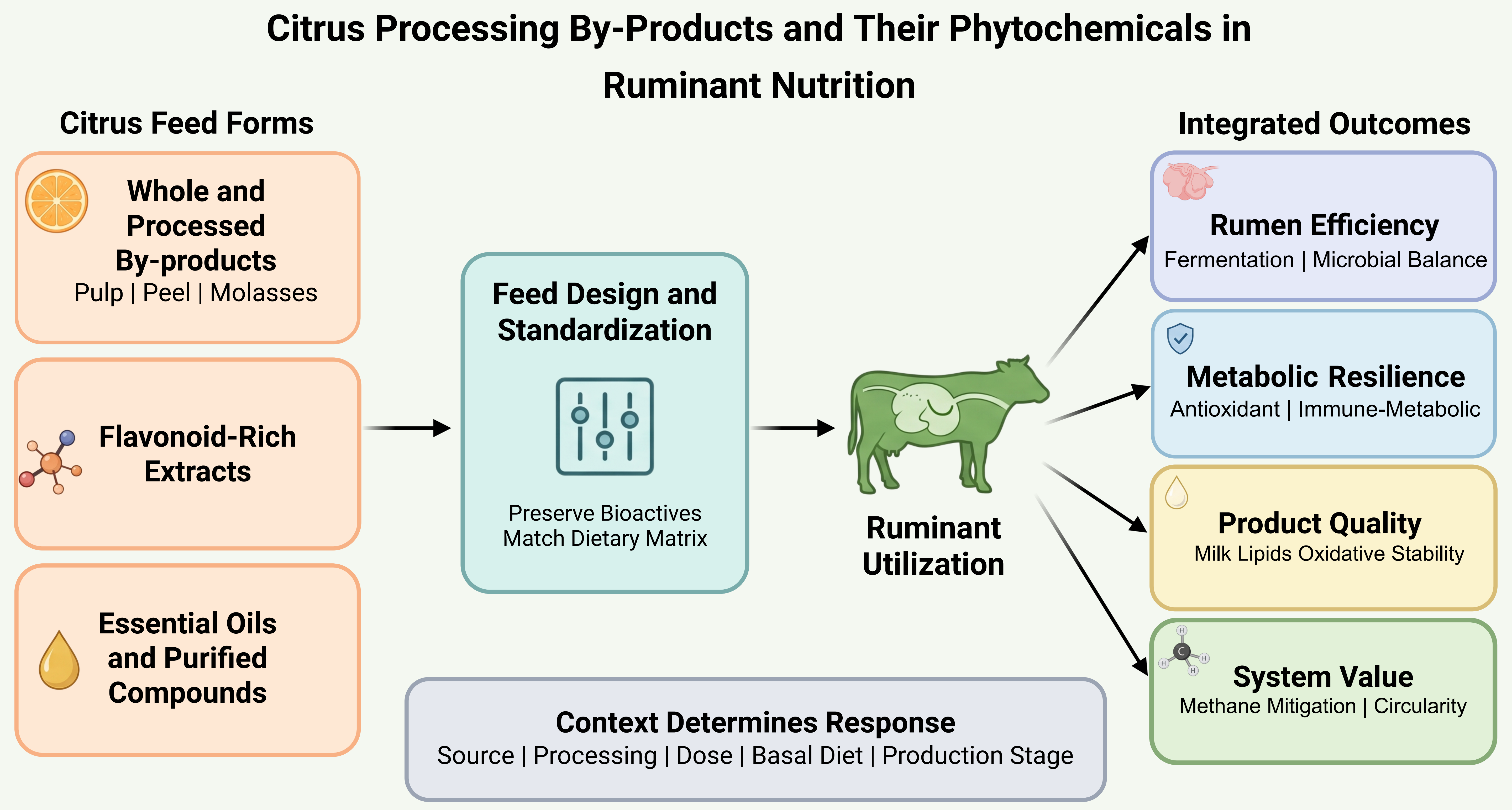 Graphical Abstract