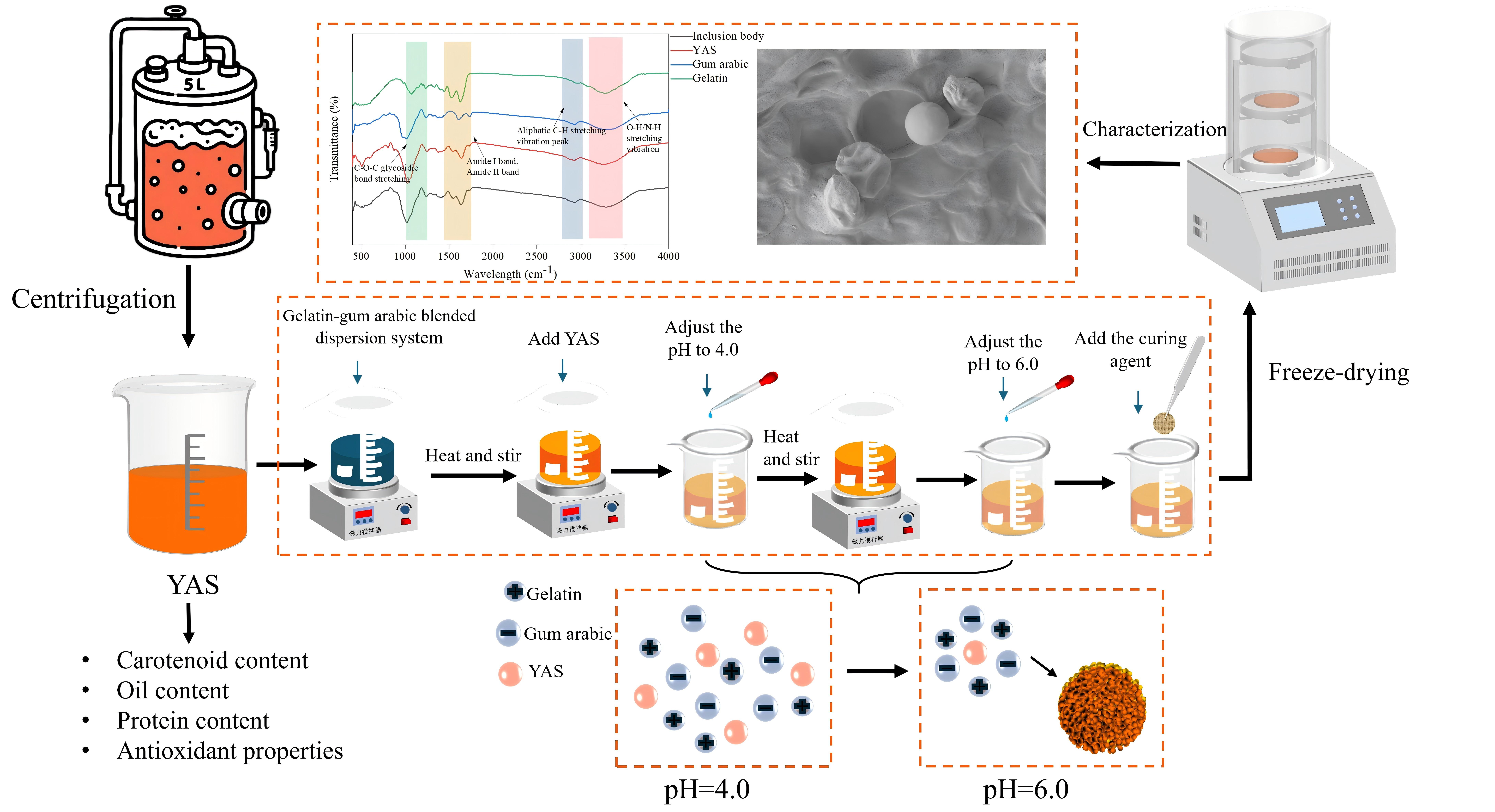 Graphical Abstract